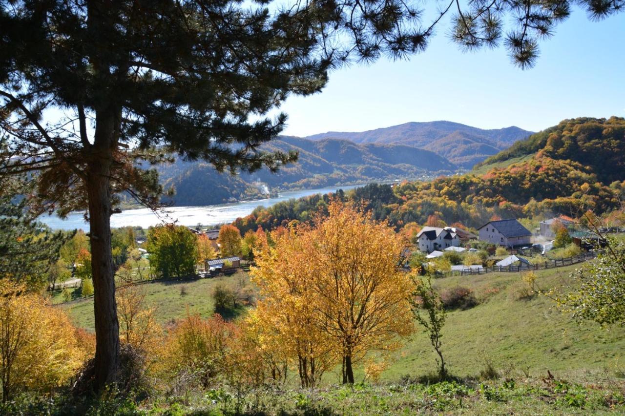 Casuta Mea Villa Piatra Neamţ Eksteriør bilde